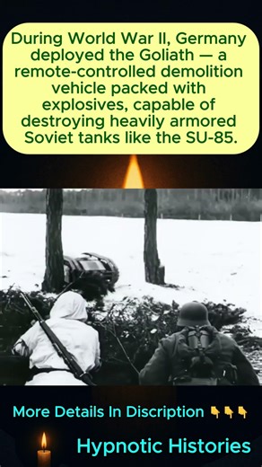 Germany's Tiny Remote-Controlled Bomb That Destroyed Soviet Tanks 💣