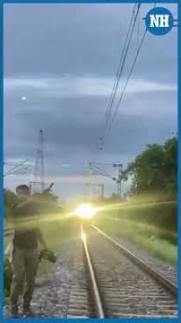 Rajdhani Express halted in Assam to let elephant herd cross railway tracks