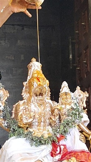 Ugram Viram Maha Vishnum Jwalaantam Sarvato Mukham 🙏 Swathi Nakshatra ✨