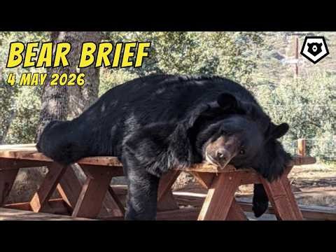 Bear Brief Monday 4MAY26