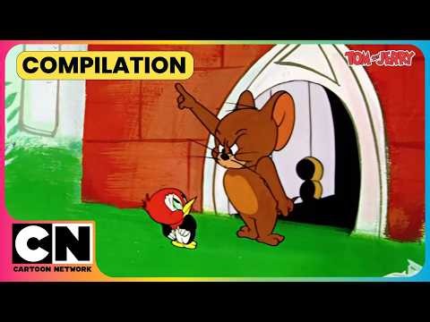 Jerry's Tiny Friend Needs A Hero!🐦🐭| Tom and Jerry😺| Cat & Mouse Cartoon😁 | @cnindia​