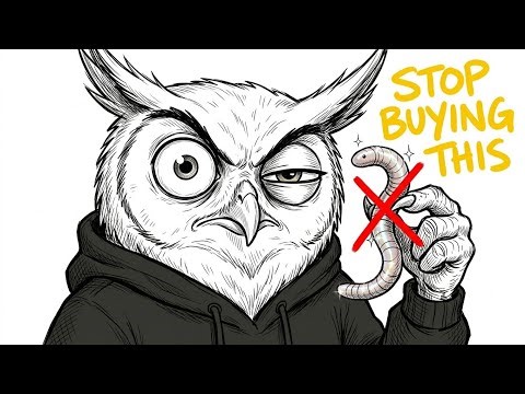 Why Owls Don't Go Broke – 3 Money Rules That Actually Work (No Hype)