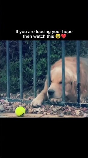 If you are loosing your hope then watch this 🥹❤️