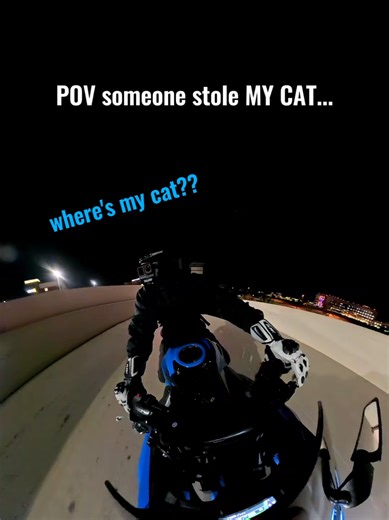 He has the audacity to run off with my cat....@Bongo | Bongo Cat