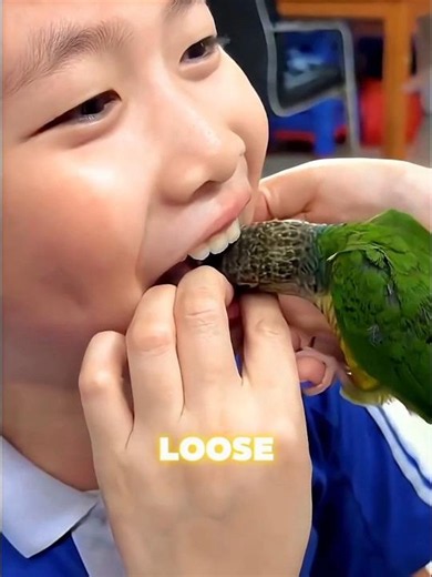Parrot Secrets You Never Knew 🦜 #shorts #viralvideo