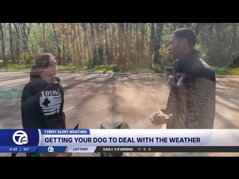 Mike Taylor learns about getting your dog for a walk in the weather