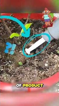7 Genius Spring Tricks That Can Solve Everyday Problems!