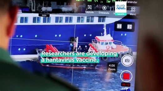 Is there a hantavirus vaccine? Scientists race to develop one for new strain