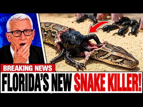 New Snake Killer Is Taking Down Florida Pythons — And It's Worse Than You Think!