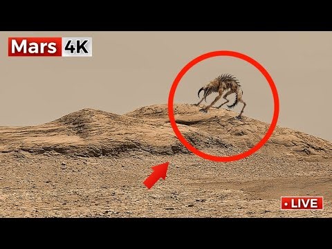 Perseverance Rover Latest Images: SOL 1573 | NASA Send Mars Rover Footage | Mars In 4K | Mars 4K