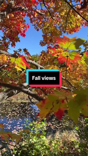 Unwinding after a busy week ☀️ 🍂 🍁 #Harvard #HarvardUniversity #Fall #Hike #Outdoors