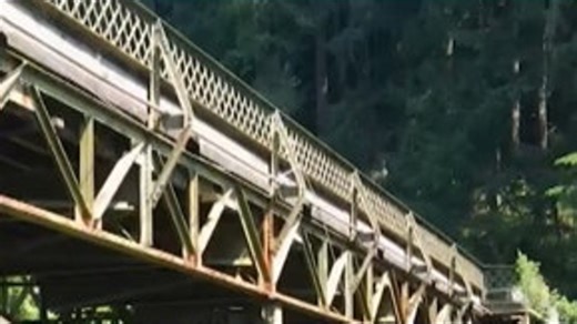 State Representative Andrew Barkis has pre-filed a bill for the upcoming legislative session to replace the Fairfax Bridge near Wilkeson which closed in April. | KING 5