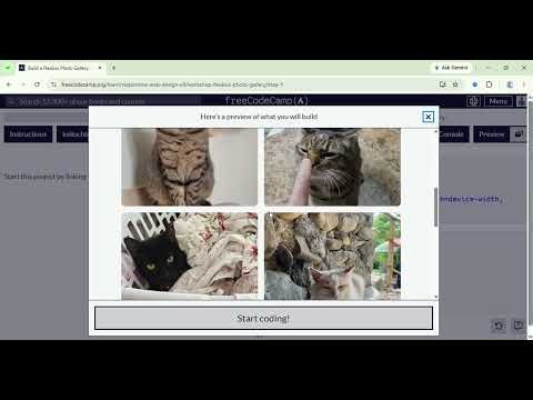 FreecodeCamp Learn Css Ep 35