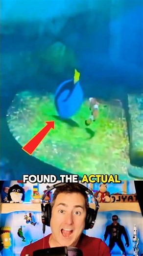 Finding Nemo and Dory