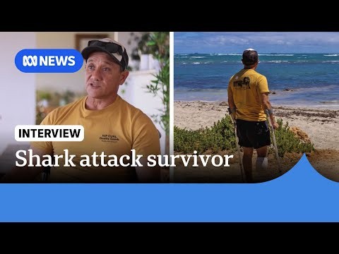 Firefighter looked shark in the eye before it bit off his leg | ABC NEWS
