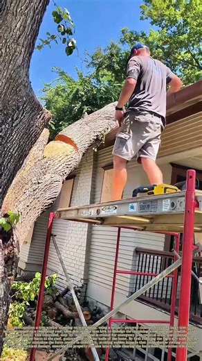 Kicking a Trapped Log: How a Final Footfall Clears a Roof-Bound Tree Section Safely