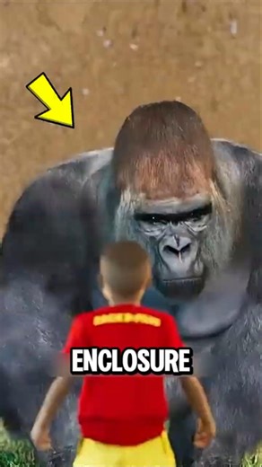 Fall Into a Gorilla Enclosure?! 😨 DO THIS to Survive