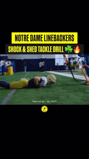 Elite Linebacker Training® on Instagram: "Notre Dame Linebackers Shock & Shed Tackle Drill ☘️🔥 . . . #linebacker #linebackerdrills #linebackertraining"