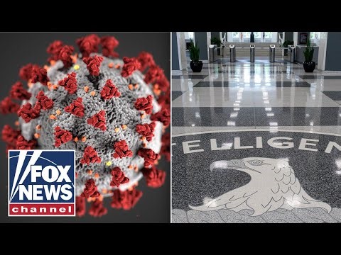 CIA ‘unhappy’ with COVID whistleblower hearing: ‘Political theater’
