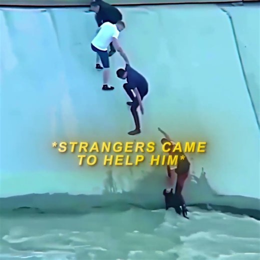 "They built a human chain to save the dog" | Hymn for the Weekend - Coldplay￼ #trending #shorts
