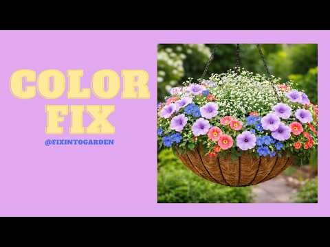 Hanging Basket Color Strategy!