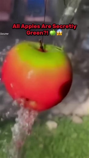 Mind-Blowing DIY Life Hacks You Need to Try