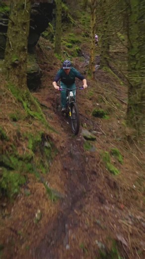 Exploring Local Trails with Wolfie on MTB