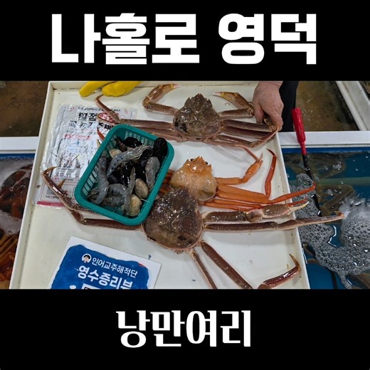 나홀로 영덕여행 대게먹방