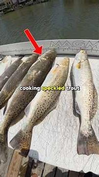 Catch and cook speckled trout