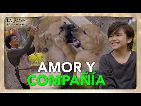 Juan Diego y sus perritos llenan de AMOR y COMPAÑÍA a Doña Candy | LA NATURALEZA DEL AMOR 3/4 | LRDG