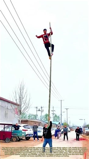 Defying Gravity: The Human Ascent Up a Bamboo Pole