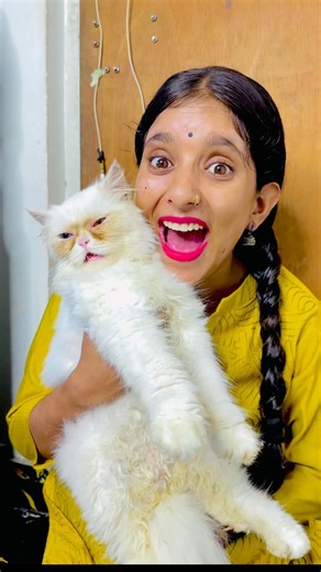 New cat aur pillu 😱🐈 | Mini Vlog #shorts #minivlog #ashortaday #vlog #trending #cats #cat