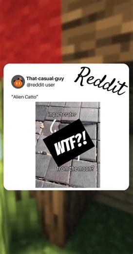 Did this just came outta space?! #alien #fyp #shorts