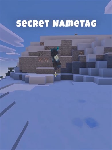 Secret Nametag Action & Stuff 1.9