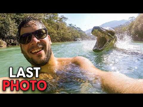 The Most TERRIFYING Snake Attacks Ever Recorded!