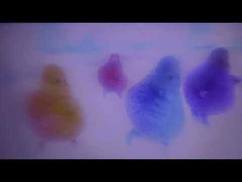 The Boohbahs Hop To It With Some Boohbah Skips To Together (Calling All Engines: Edited)