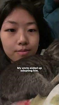 Tiny Kitten Cries For Help Right Outside Woman's Window | The Dodo