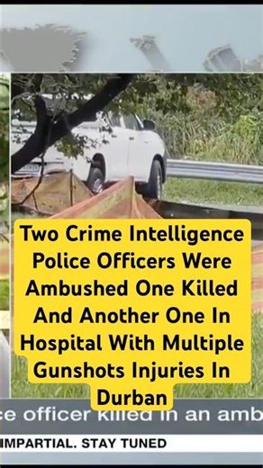 Caught Off Guard: Deadly Ambush on Police in Mount Edgecombe – What Really Happened?