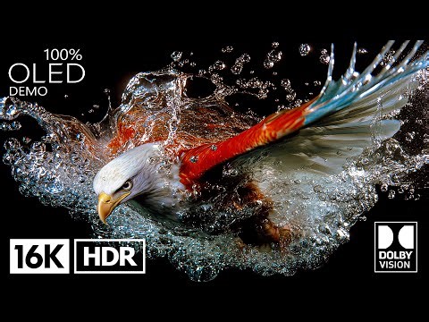 Breathtaking 16K HDR 120FPS Dolby Vision (4K/8K TV)