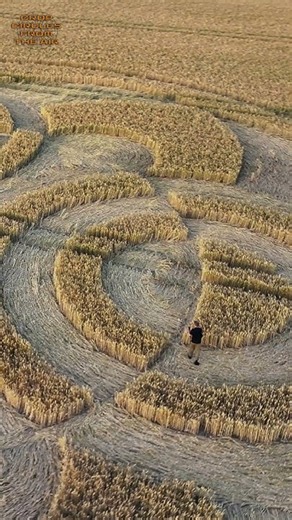 Etchilhampton Crop Circle | 4 July 2026 | Crop Circles From The Air
