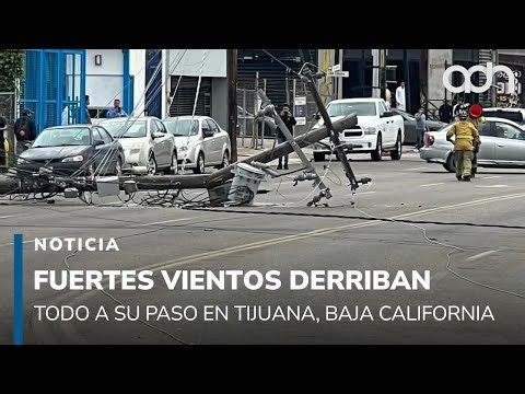 Fuertes vientos derriban espectaculares, postes y árboles en Tijuana