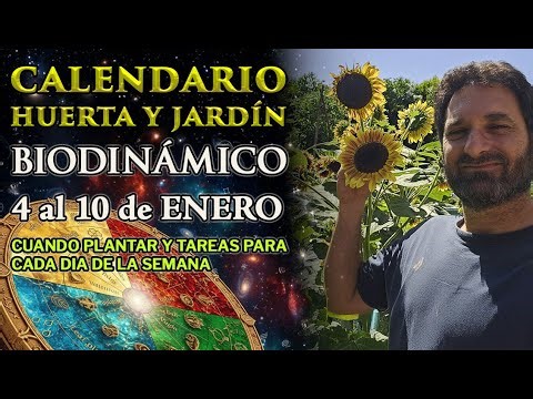 Calendario de Siembra y Tareas Huerta y Jardin - Lunar y Biodinámico 4 al 10 de Enero 2026