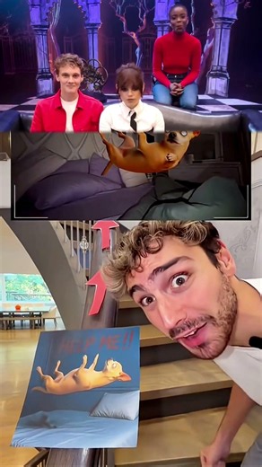 Try Not To Laugh Challenge😅🤩😂 #funny#doddlersoftiktok #funnyvideos#duet