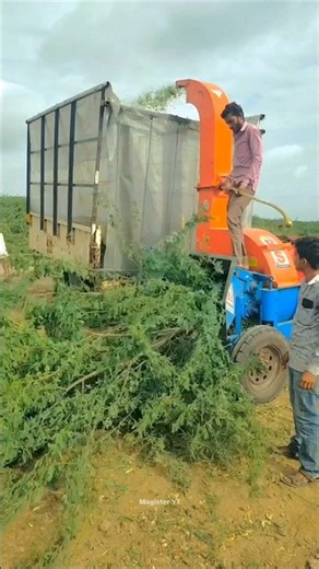 The Smart Way to Recycle Tree Branches