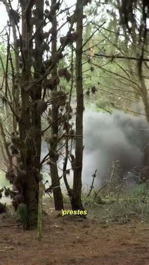 Method of felling trees with explosives