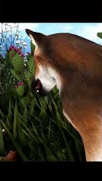 When the Valley Stretches | Ecos La Brea Roblox