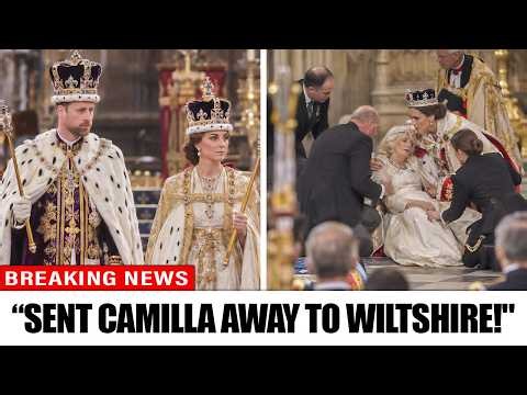 William & Catherine’s SPECTACULAR Debut As King & Queen! Camilla AXED Over Health Bombshell