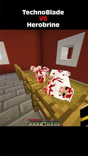 Hero brine VS Techno Blade In Minecraft 😊