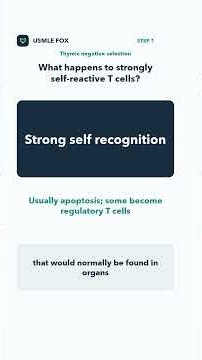 T-Cell Negative Selection: Self-Antigen Exposure, Apoptosis and Regulatory Cells | USMLE Step 1