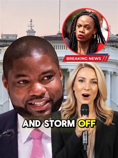 Breaking: Byron Donalds Ends the Reparations Debate in 2 Minutes | El Amster